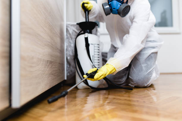 Pest Control Cost in Shirley, NY
