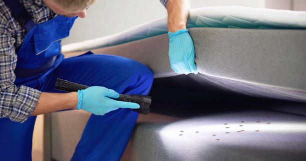 Best Mosquito Control Services  in Shirley, NY