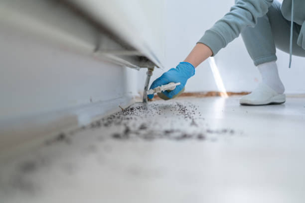 Best Wildlife Control Services  in Shirley, NY